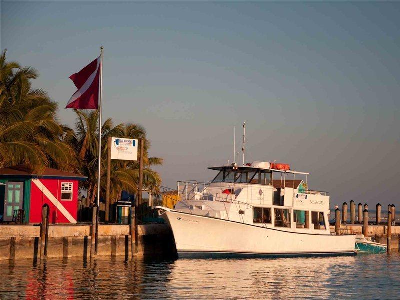 Bimini Big Game Club Resort & Marina Alice Town  Servicios foto